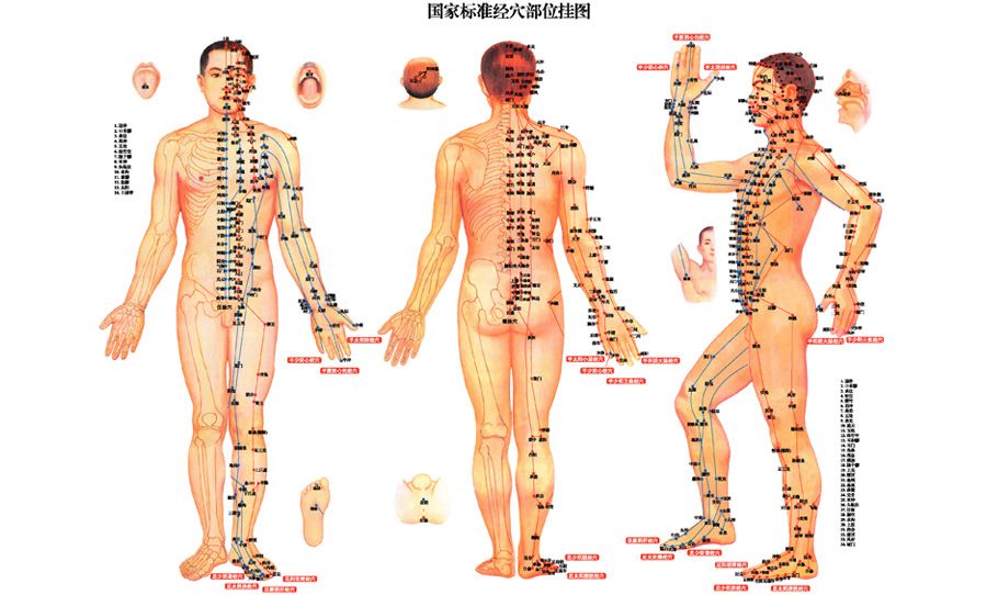 Meridián-ragasztás kineziológiai szalaggal II. rész Meridián-ragasztás kineziológiai szalaggal II. rész